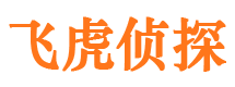 河北区市侦探公司